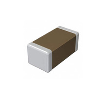 RF18N101G500CT Image