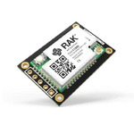 RAK11300-8-WB-I
